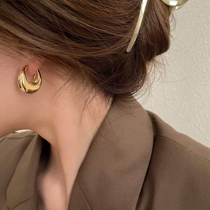 Silver Hoop Earrings – Surgical Steel Elegant Earrings for Any Occasion 2