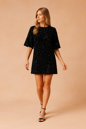 Sequin Mini Dress for Women – Elegant Occasion Dress – Jinky
